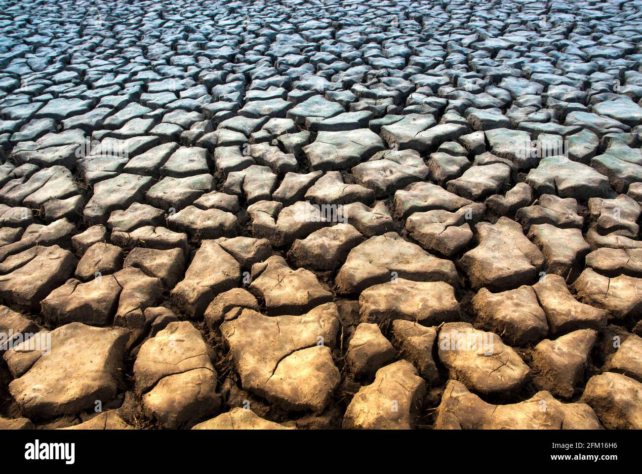 Ausgetrockter Boden in einer Wüstenumgebung, Provinz La Pampa, Patagonien, Argentinien. Stockfoto