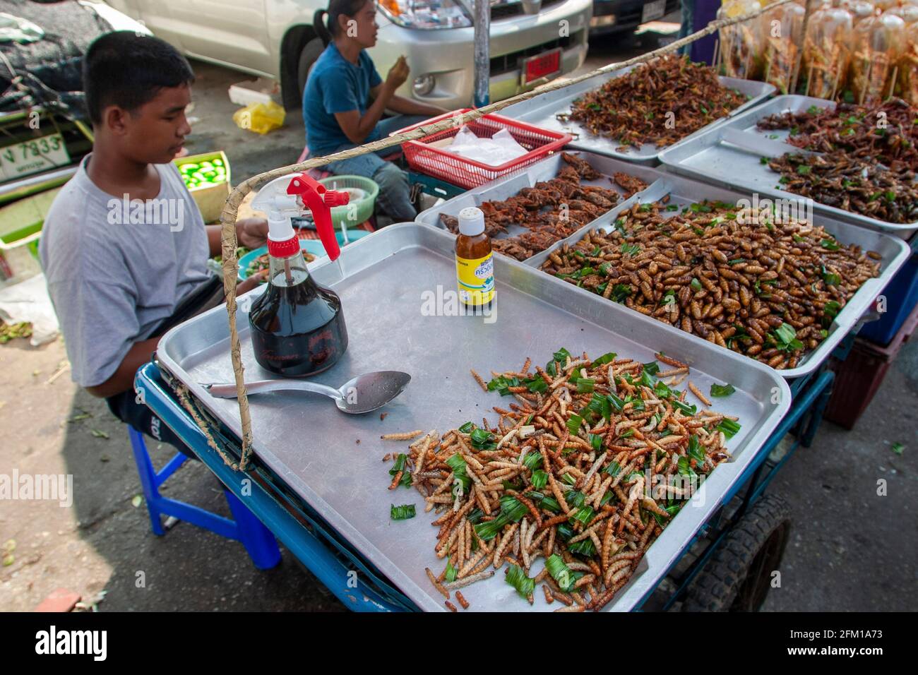 Insekten sind an einem Stand auf dem Tiermarkt in Bangkok, Thailand, erhältlich Stockfoto