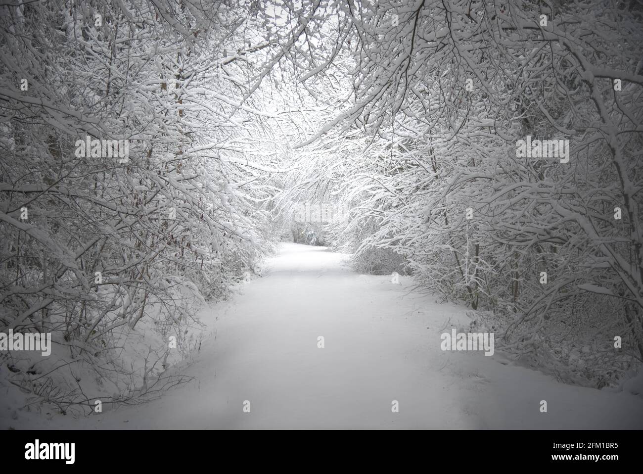 Winterwunderland in Wales Stockfoto