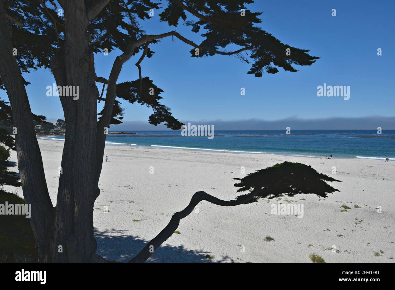 Landschaft mit Panoramablick auf Carmel-by-the-Sea Beach in Monterey County California, USA. Stockfoto