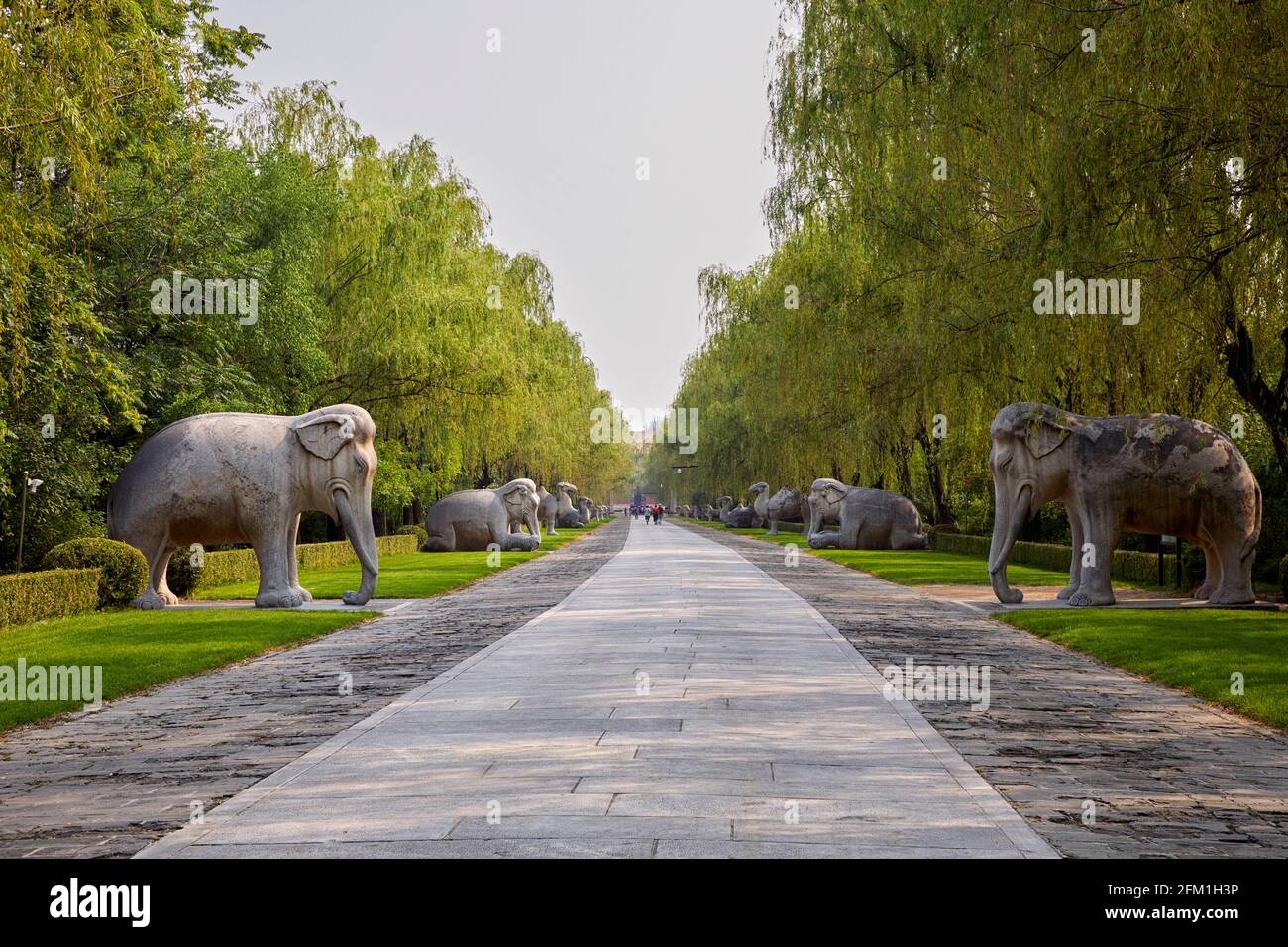Neigte Elefanten Statuen Heilige Straße Göttliche Straße Changling Peking Shi China Asien, UNESCO, Weltkulturerbe Stockfoto