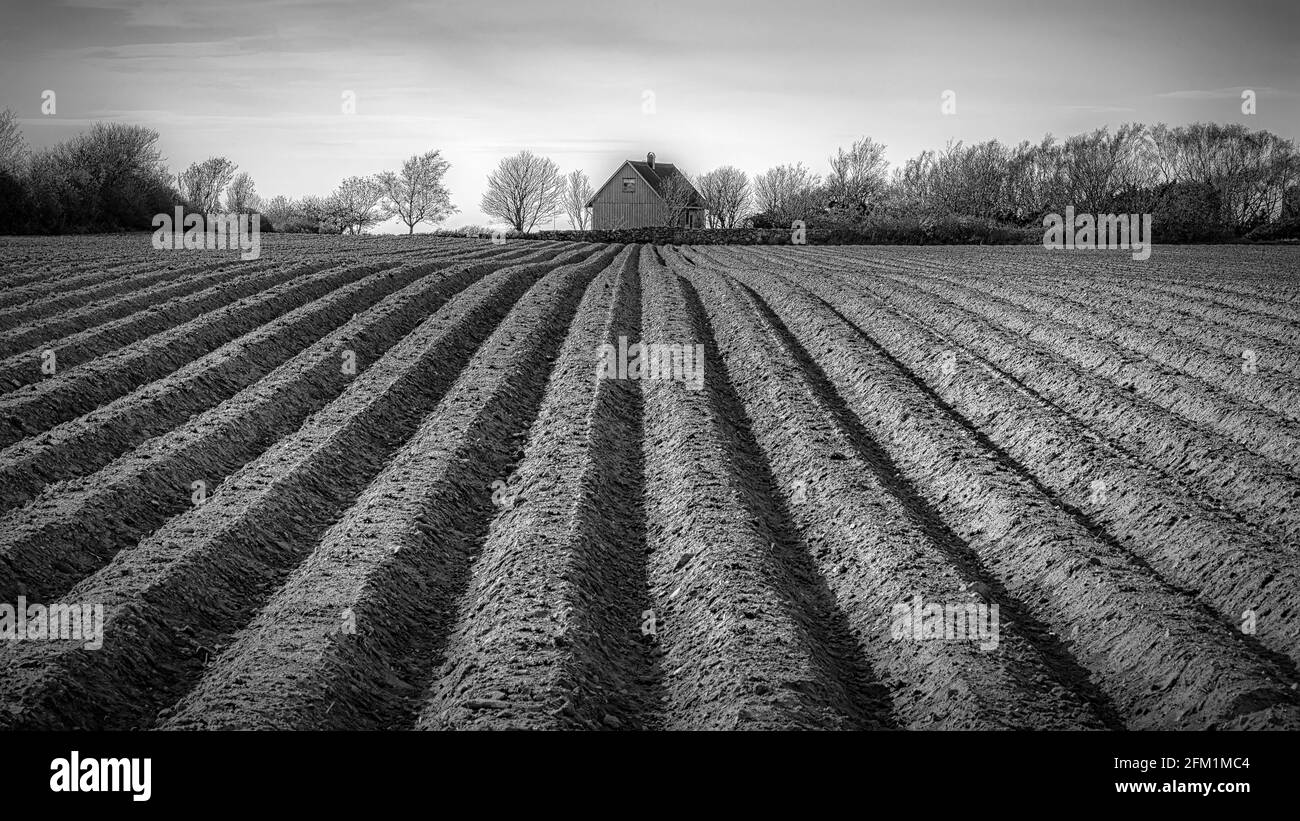 Ein neu gepflügeltes Feld in Schweden, das zur Aussaat bereit ist. Stockfoto