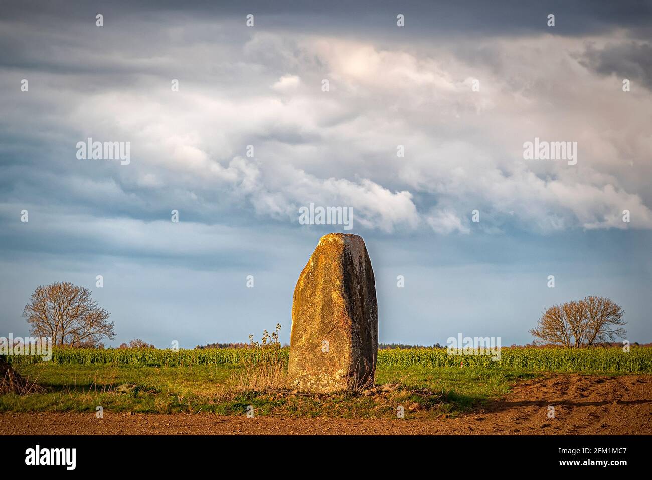 Ein einziger stehender Stein in der schwedischen Landschaft Stockfoto