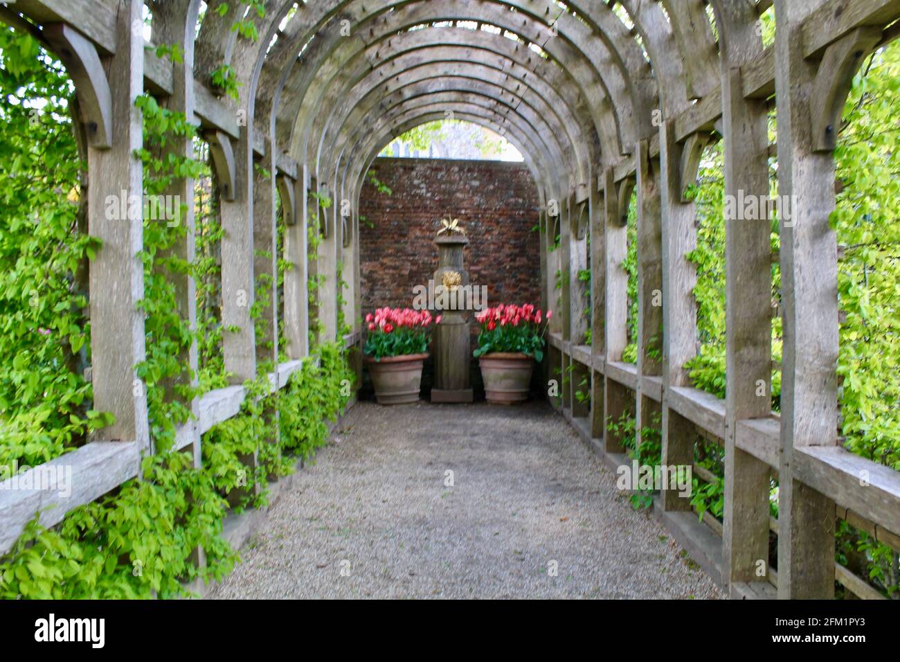 Arundel Castle Tulip Festival - 2021 - Pergola führt das Auge zu Tulpenbehältern. Stockfoto