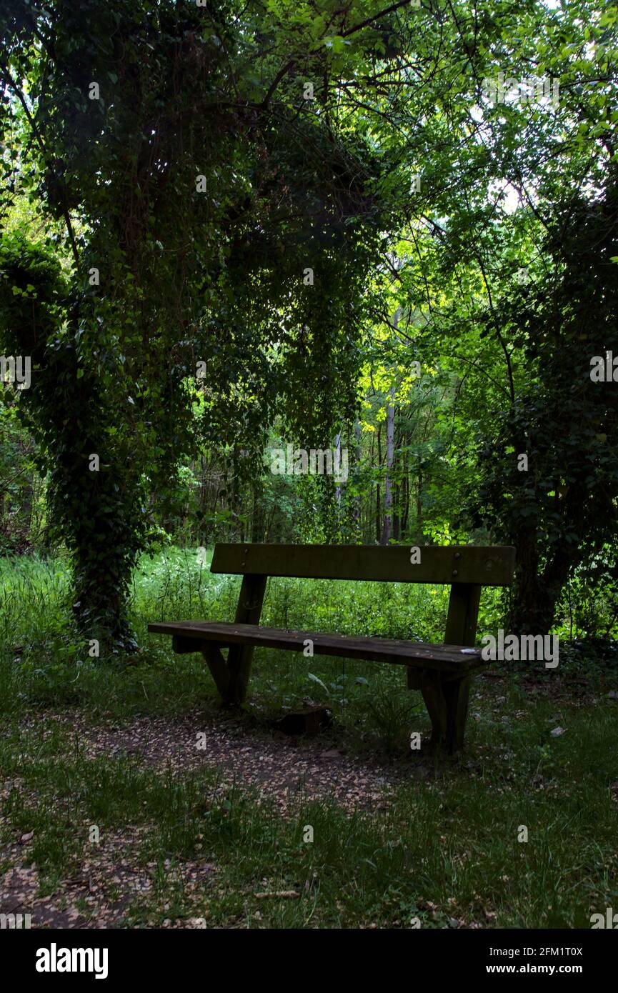 Holzbank am Rand eines Weges in einem park in der italienischen Landschaft Stockfoto