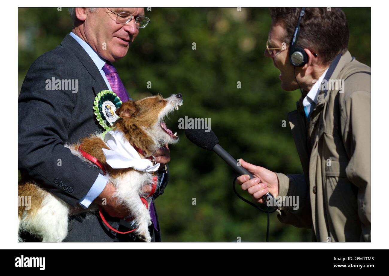 Der Westminster Dog of the Year Wettbewerb ist offen für Hunde aus beiden Häusern und wird gemeinsam von der National Defence League und dem Kennel Club durchgeführt. Die comp. Wurde von Bippy der Bube Russel Terrier von Lord William von Mostyn, Leiter des Hauses der Lords im Besitz gewonnen.pic David Sandison 17/10/2002 Stockfoto