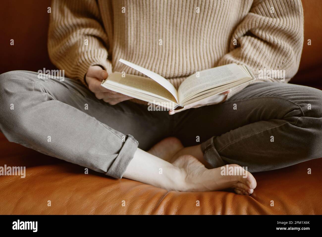 Zugeschnittenes Bild einer Frau, die auf der Couch sitzt und ein Buch liest. Stockfoto