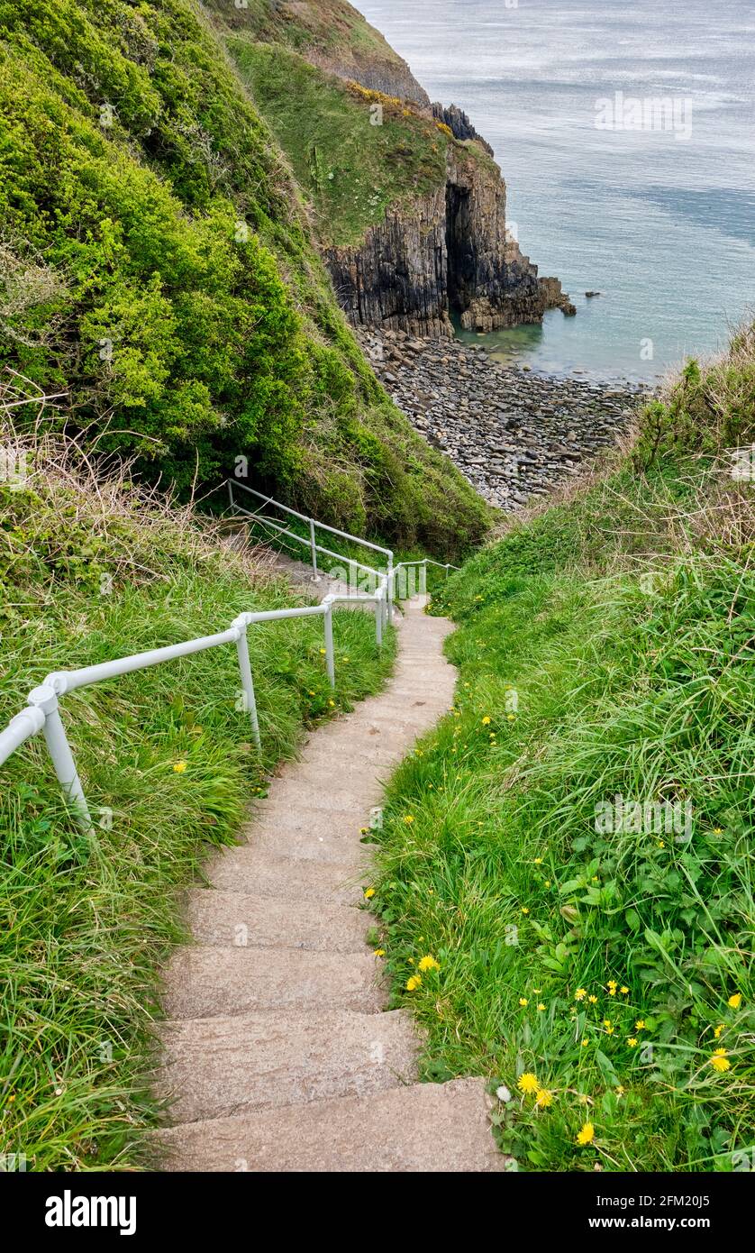 Stufen hinunter zur Church Door, in der Nähe von Skrinkle Haven, Manorbier, Pembrokeshire, Wales Stockfoto