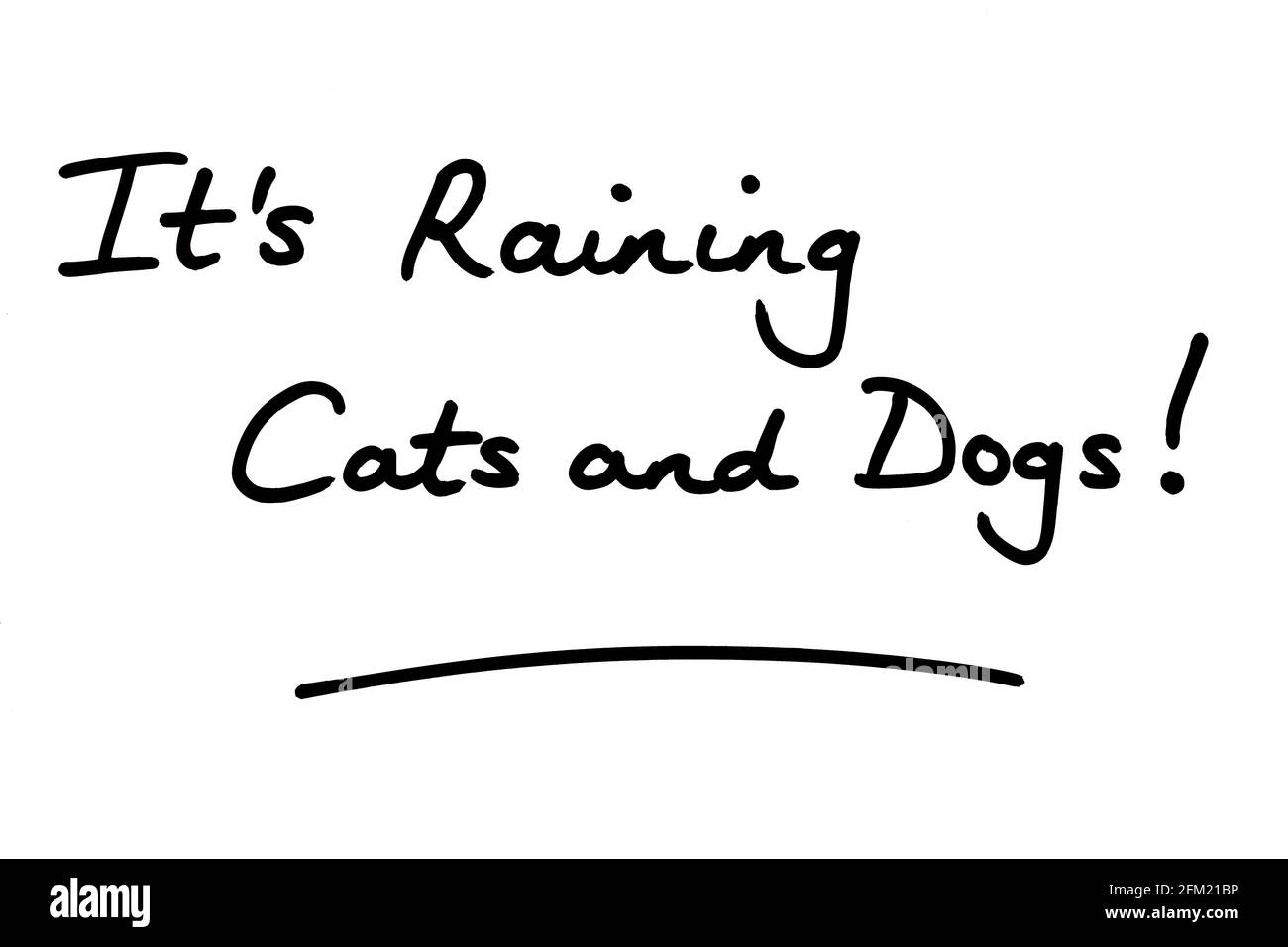 Es regnet, Katzen und Hunde! Handgeschrieben auf weißem Hintergrund. Stockfoto