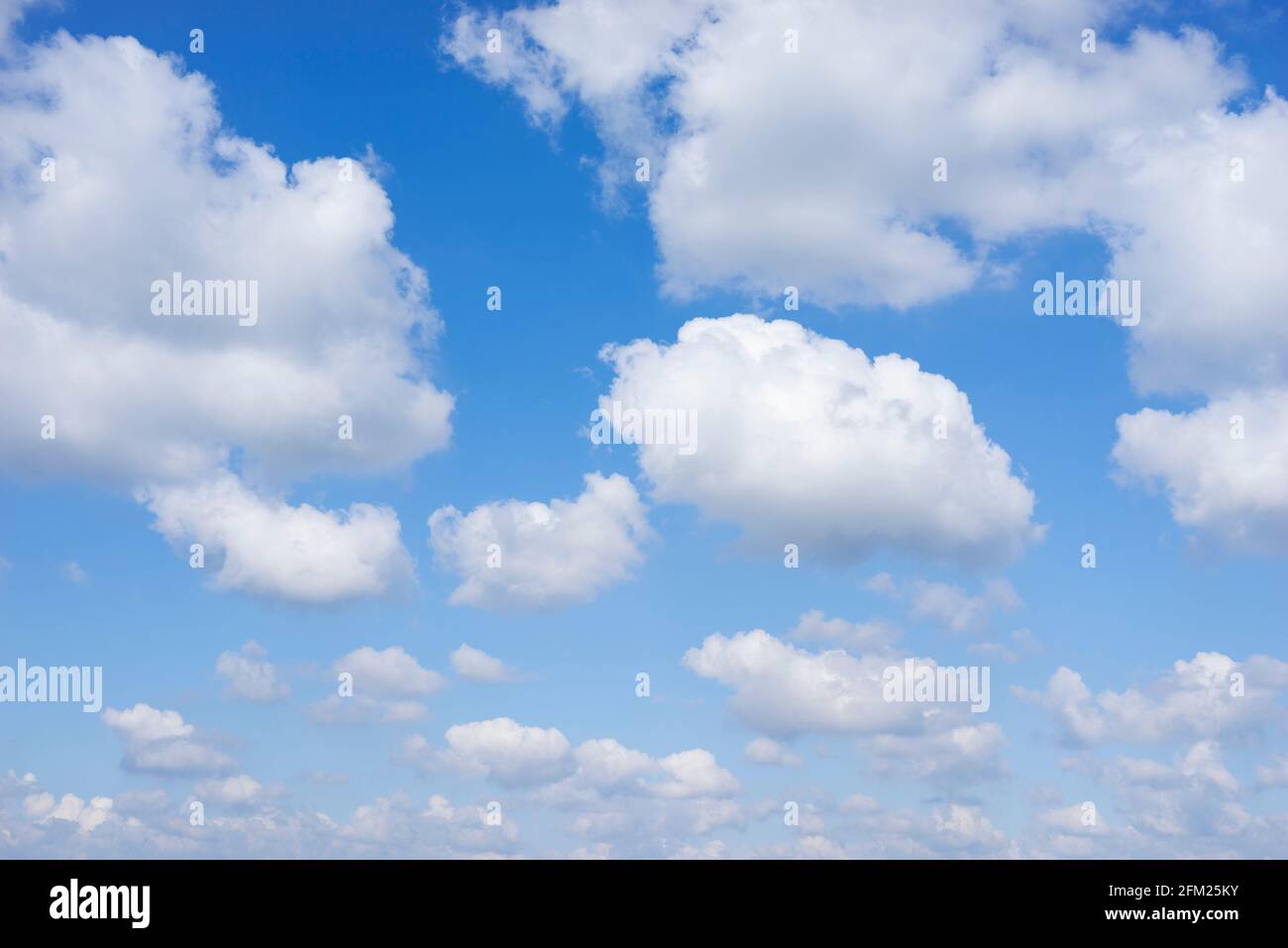 Cumulus Wolken in einem blauen Himmel mit weißen flauschigen Wolken Hintergrund weiße Wolken blauer Himmel weiße Wolken nur uk Stockfoto