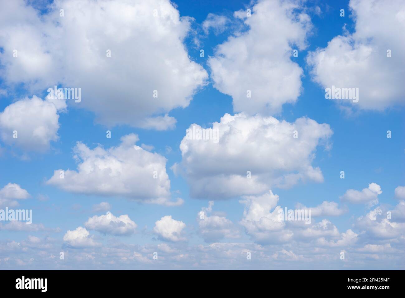 Cumulus Wolken in einem blauen Himmel mit weißen flauschigen Wolken Hintergrund weiße Wolken blauer Himmel weiße Wolken nur uk Stockfoto