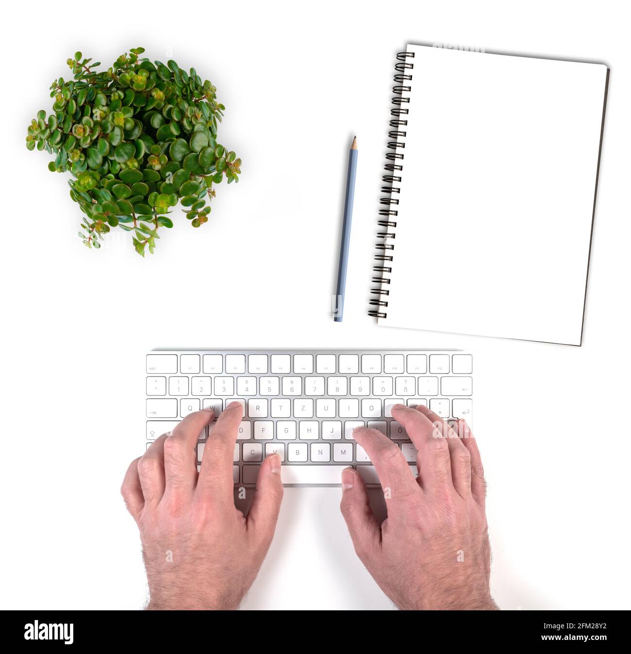 Draufsicht der Person, die auf der kabellosen Computertastatur auf tippt Weißer Schreibtisch mit Topfpflanze und Notizblock mit Bleistift Stockfoto