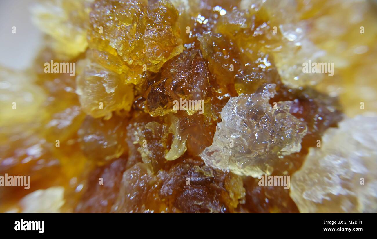 Tao Jiao, auch Pfirsichgummi oder Pfirsichgelee genannt, ist das Harz aus Pfirsich und chinesischen wilden Pfirsichbaum, sowohl für medizinische als auch kulinarische Zwecke verwendet. Stockfoto