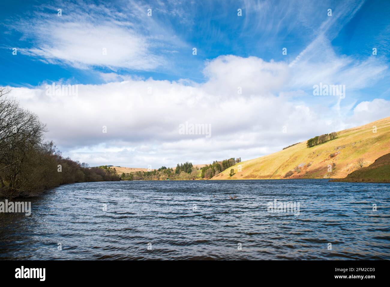 Glenbuck Loch, die Quelle des Flusses Ayr, in der Nähe von Muirkirk in East Ayrshire, Schottland. Stockfoto