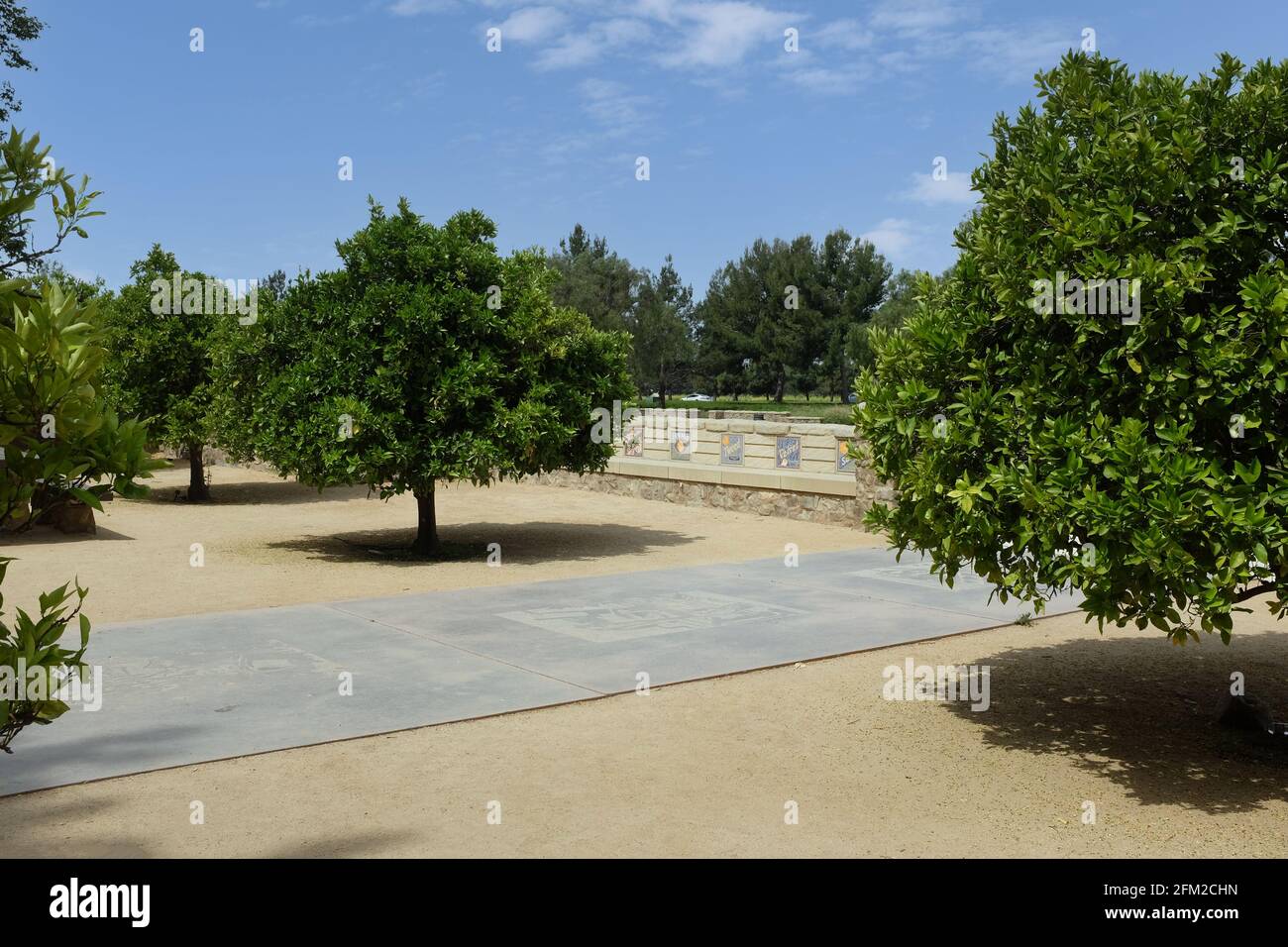 IRVINE, KALIFORNIEN - 1. MAI 2021: Der Orange Grove auf dem Jeffrey Open Space Trail. Stockfoto