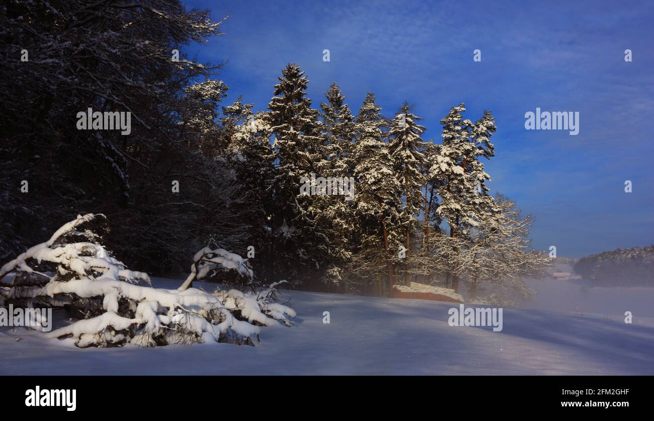 Winterbaum und Winterlandschaft mit Eis und Schnee und Reif Stockfoto