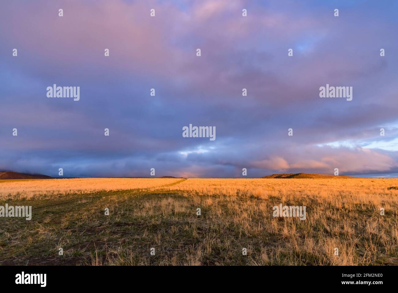 Buntes Morgenlicht über dem offenen Feld des Colorado Plateaus. Colorado, USA. Stockfoto