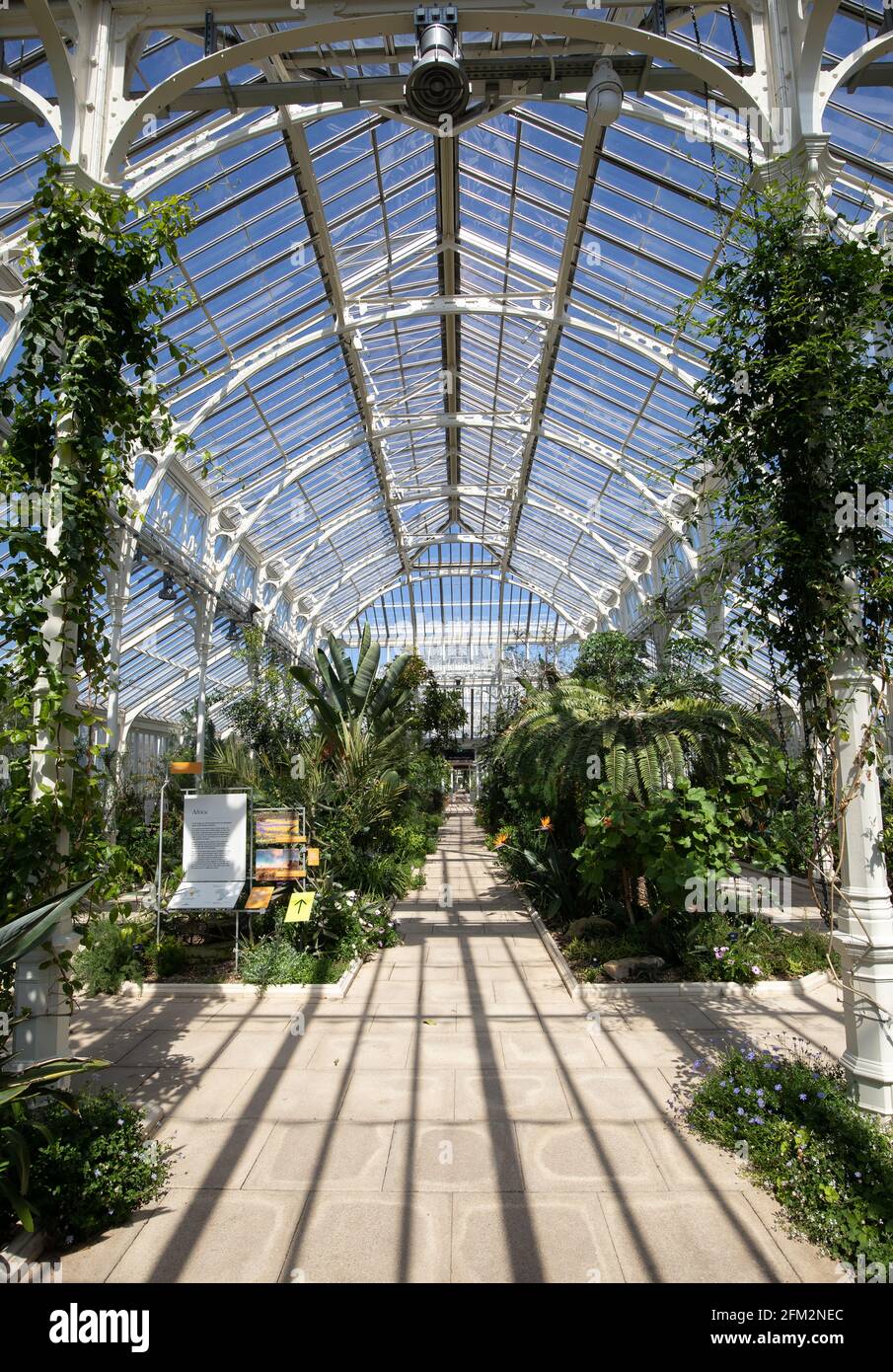 The Temperate House, Kew Royal Botanic Gardens, London, Großbritannien Stockfoto