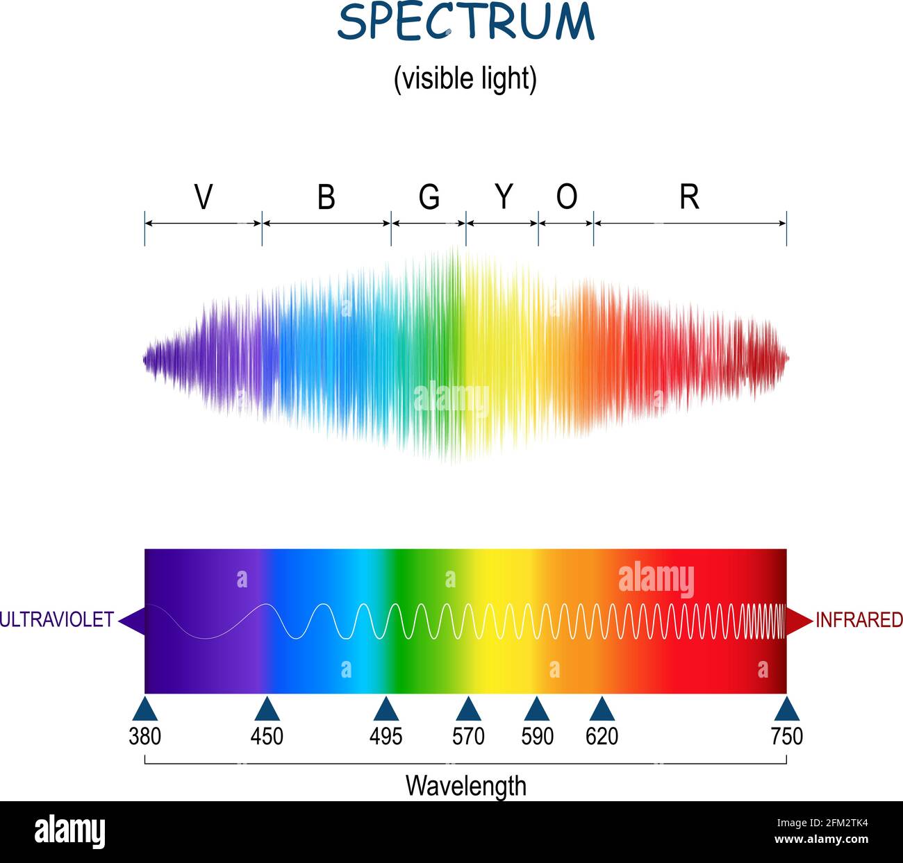 Spektrum. Sichtbares Licht. vektordiagramm. Farbskala von ultraviolett bis Infrarot. Infografik des Sonnenlichts Farbspektrums Stock Vektor