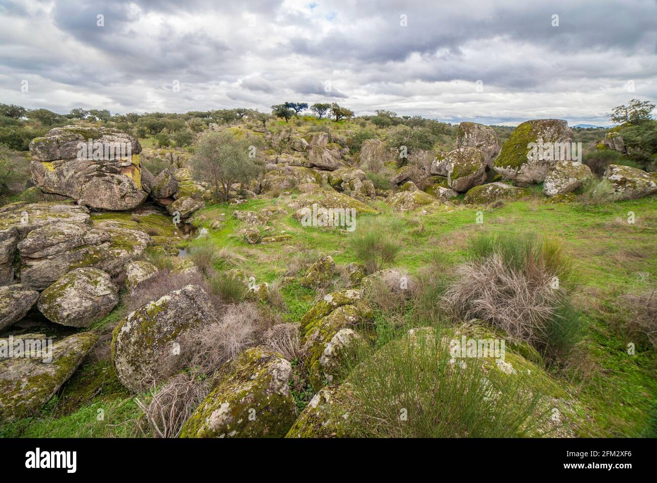 Spektakuläre granitische Landschaft des Naturparks Cornalvo, Extremadura, Spanien Stockfoto