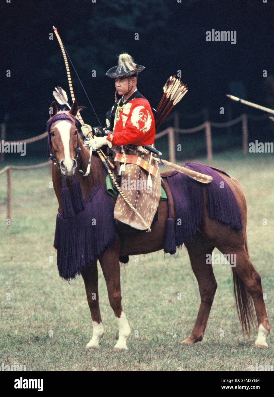 Japanischer Bogenschütze zu Pferd Foto von Dennis Brack. Bb77 Stockfoto