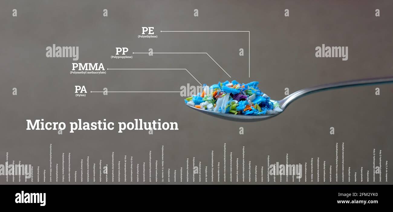 Nahaufnahme von Mikroplastik in einem Löffel mit Infografiken, die den Inhalt anzeigen. Konzept der Wasserverschmutzung und der globalen Erwärmung Klimawandel Stockfoto
