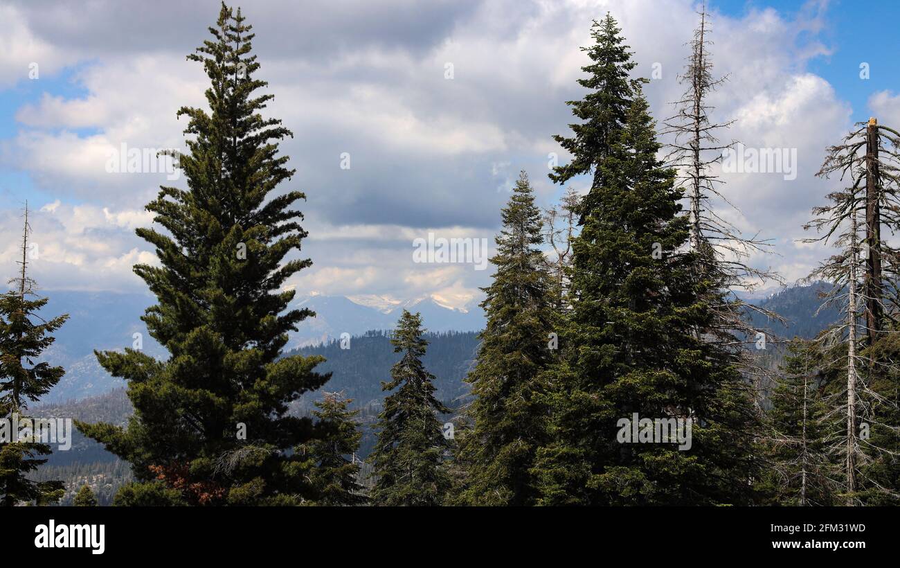 Blick auf Kaliforniens südliche Sierra Nevada Berge vom Generals Hwy Auf dem Weg zum Sequoia National Park Stockfoto