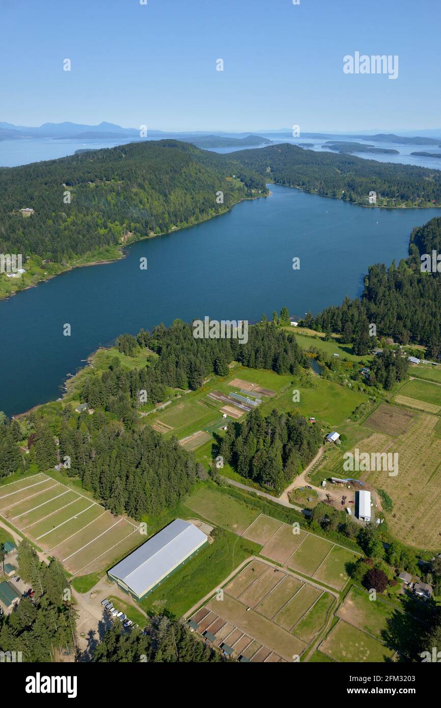 Saint Mary's Lake mit Trincomali Channel und den Gulf Islands im Hintergrund, Salt Spring Island, British Columbia, Kanada Stockfoto