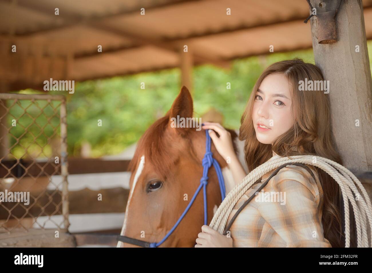 Schöne Frau, die mit ihrem Pferd in einer Scheune steht, Thailand Stockfoto