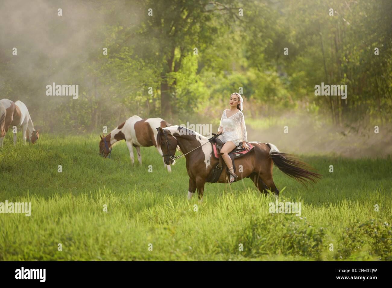 Schöne Frau, die auf einer Wiese auf einem Pferd reitet, Thailand Stockfoto
