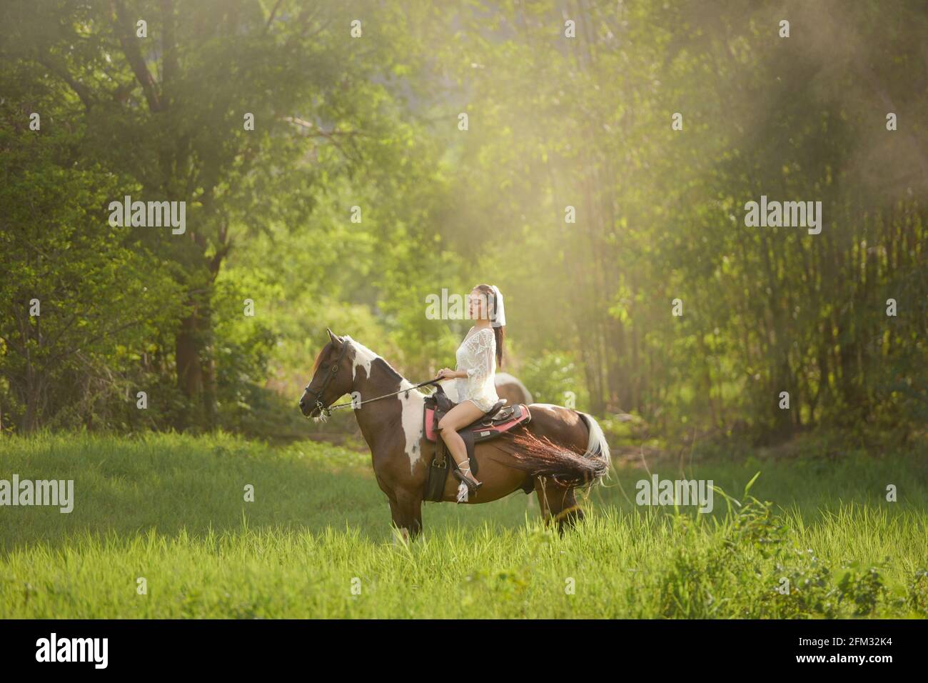 Schöne Frau, die auf einer Wiese auf einem Pferd reitet, Thailand Stockfoto
