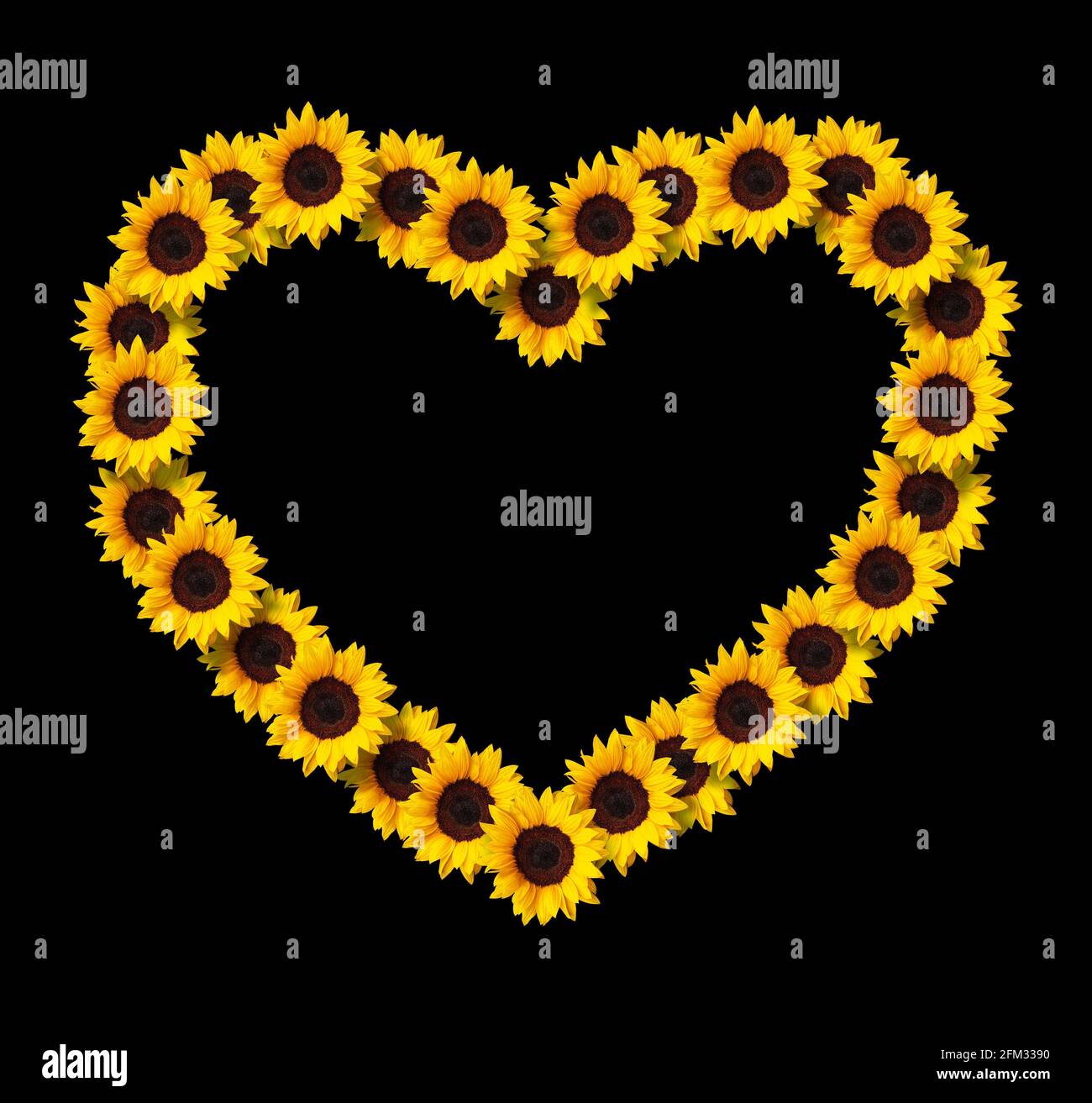 Herzförmiger Rahmen aus gelben Sonnenblumen Blumen isoliert auf schwarzem Hintergrund. Design-Element für Love Concepts Designs. Ideal für Muttertag und Stockfoto