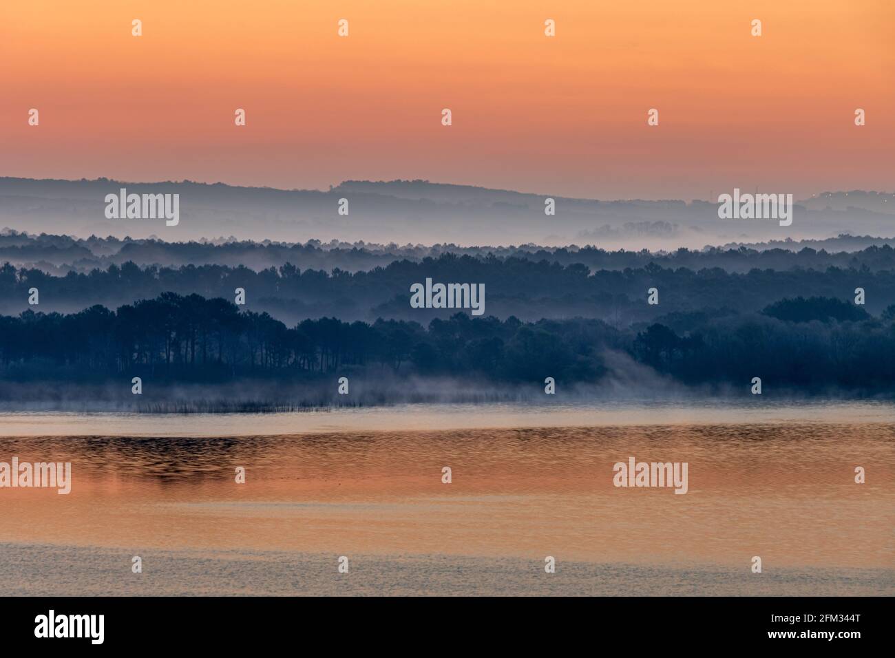 Blick auf den nebligen Wald und den See bei Sonnenaufgang. Naturlandschaft Stockfoto