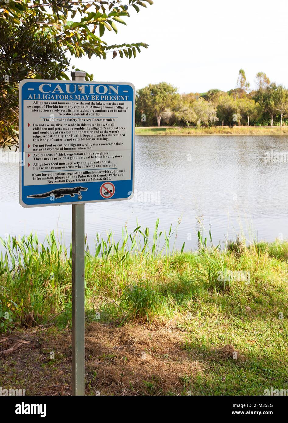 Schild Warnung vor Alligatoren in einem See in Florida. Stockfoto