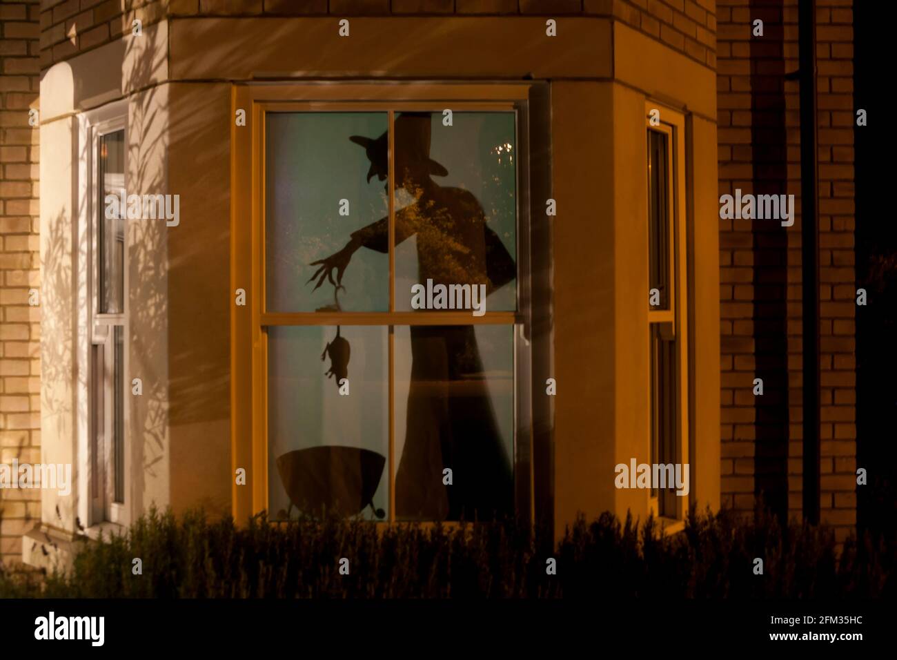 Halloween Fenster Silhouette Dekoration: Eine Hexe fügt eine Ratte oder Maus zu ihrem Kessel. Die Straße draußen spiegelt sich im Fenster wider. Stockfoto