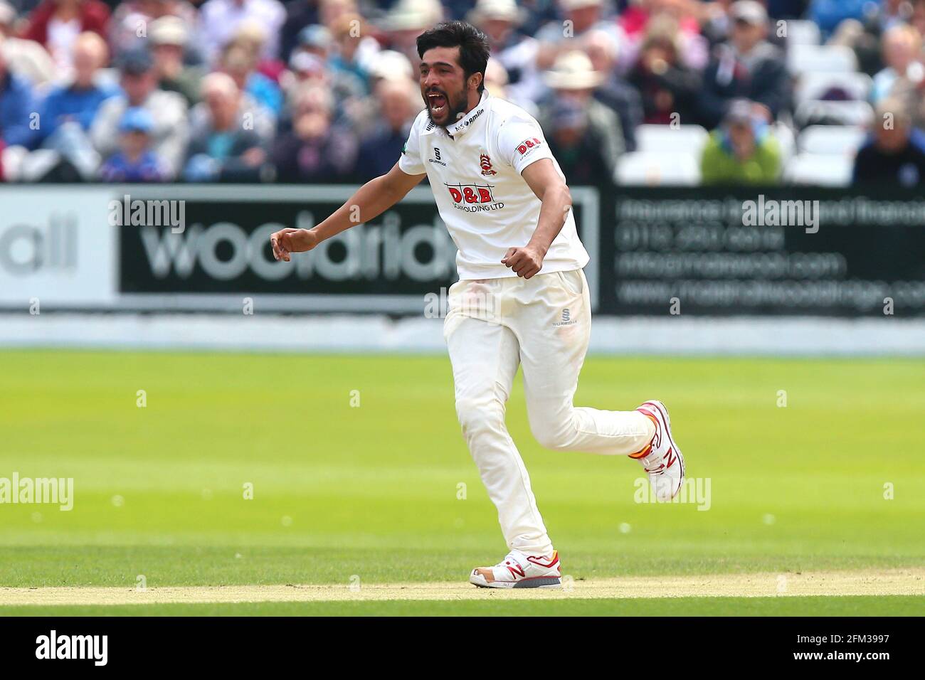 Mohammad Amir von Esse feiert die Teilnahme am Wicket von Alex Lees während des Yorkshire CCC gegen Essex CCC, Specsavers County Championship Division 1 Cricket A Stockfoto