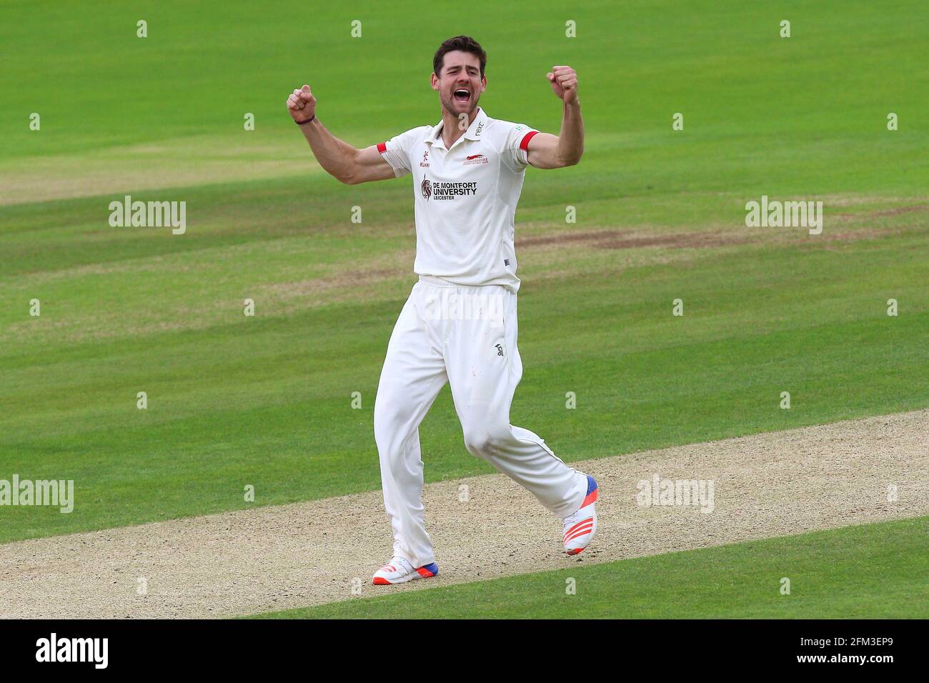 Rob Taylor von Leicestershire feiert das Wicket von Tom Westley während Essex CCC gegen Leicestershire CCC, Specsavers County Championship Divisi Stockfoto