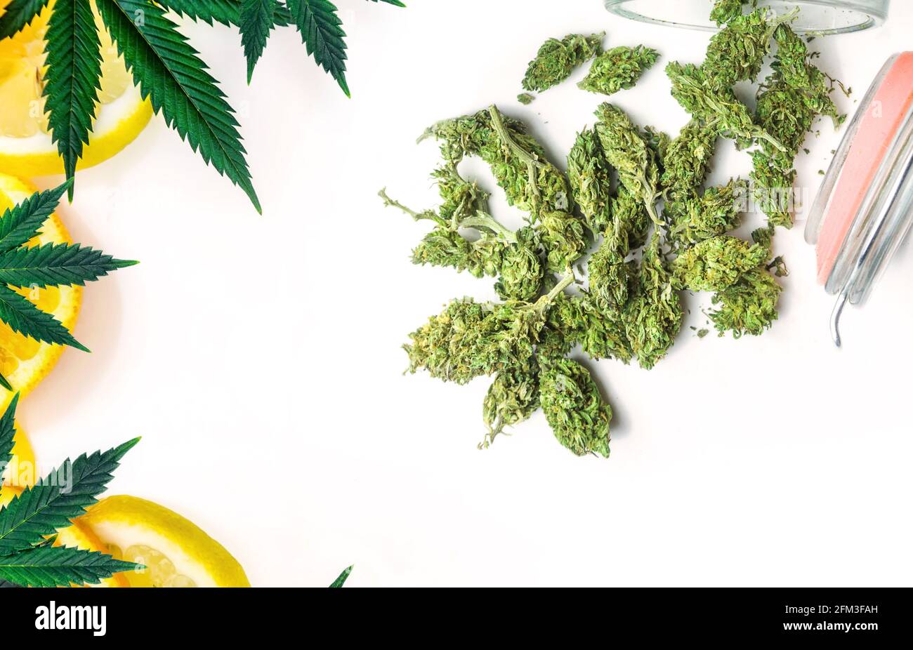Cannabis-Terpene-Konzept mit Zitronenorangen Marihuana-Blütenknospen aus Blättern Stockfoto