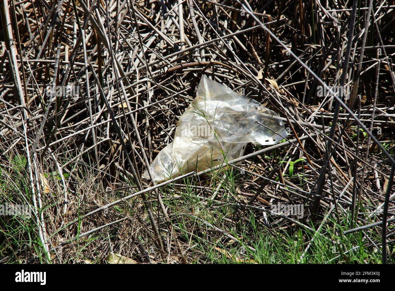 Plastiktüte an einer Uferlinie Stockfoto