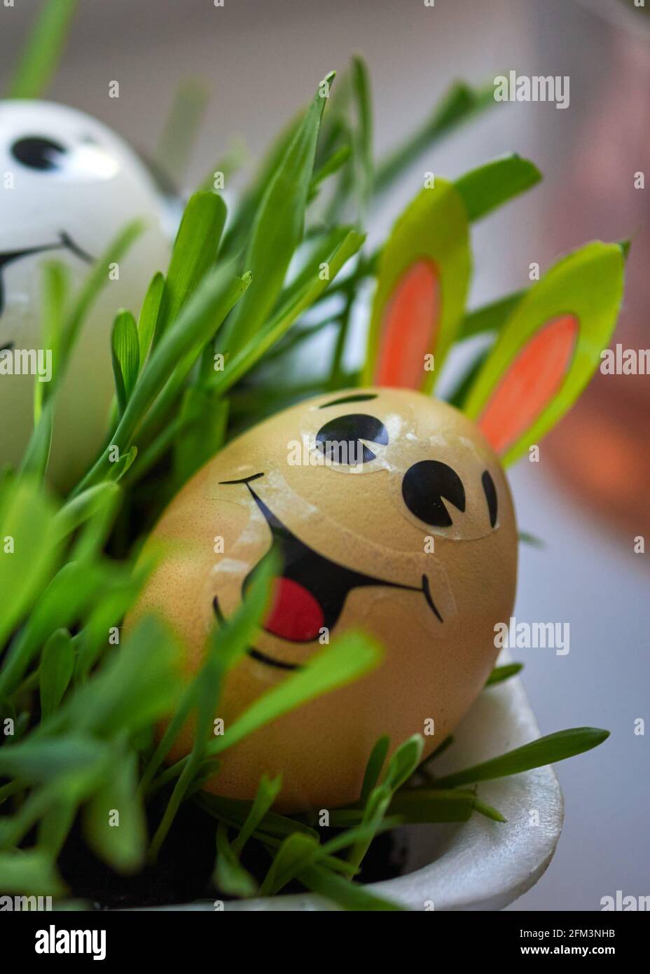 Gelbes cooles lustiges osterei mit Ohren Stockfoto