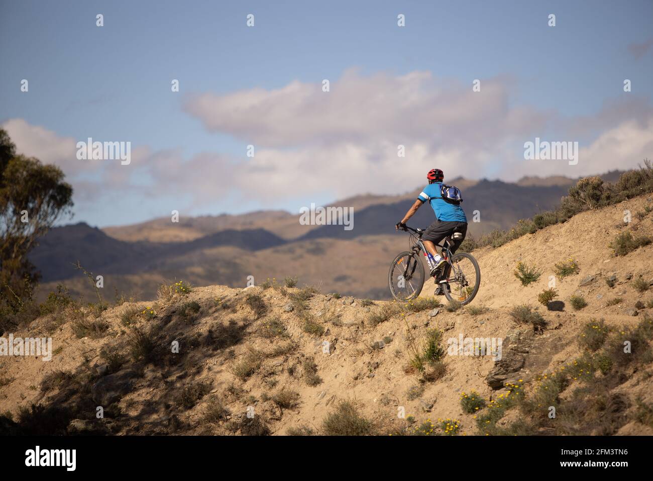 Male Mountain Biker fährt über die Brow of a Hill, Central Otago, Südinsel Neuseeland Stockfoto