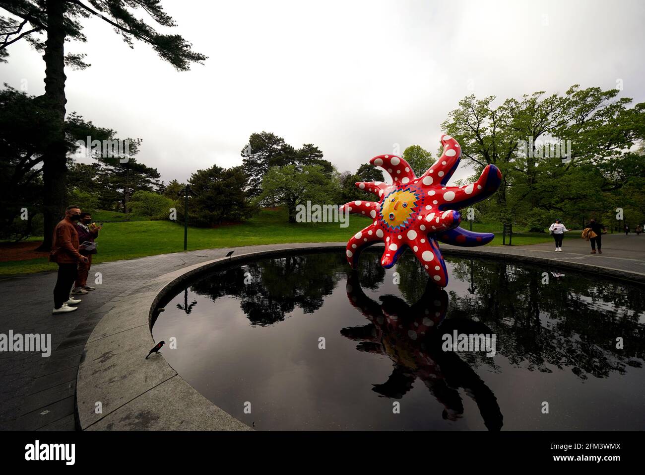 New York City, New York, Usa. Mai 2021. Besucher der New Yorker Botanischen Gärten in der Bronx genießen Yayoi Kusamas Skulptur „I Want to Fly to the Universe“ (2020), die Teil der Ausstellung „Kusama: Cosmic Infinity“ ist, die bis zum 31. Oktober auf dem Gelände zu sehen ist. Quelle: Adam Stoltman/Alamy Live News Stockfoto