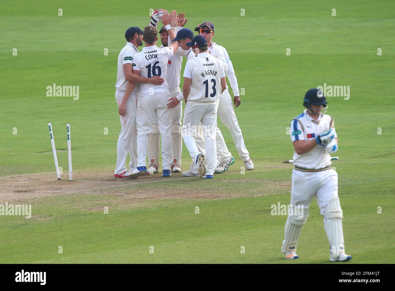 Sam Cook aus Essex wird von seinen Teamkollegen gratuliert, nachdem er das Wicket von Alex Lees während des Essex CCC gegen Yorkshire CCC, Specsavers County Champio, genommen hatte Stockfoto