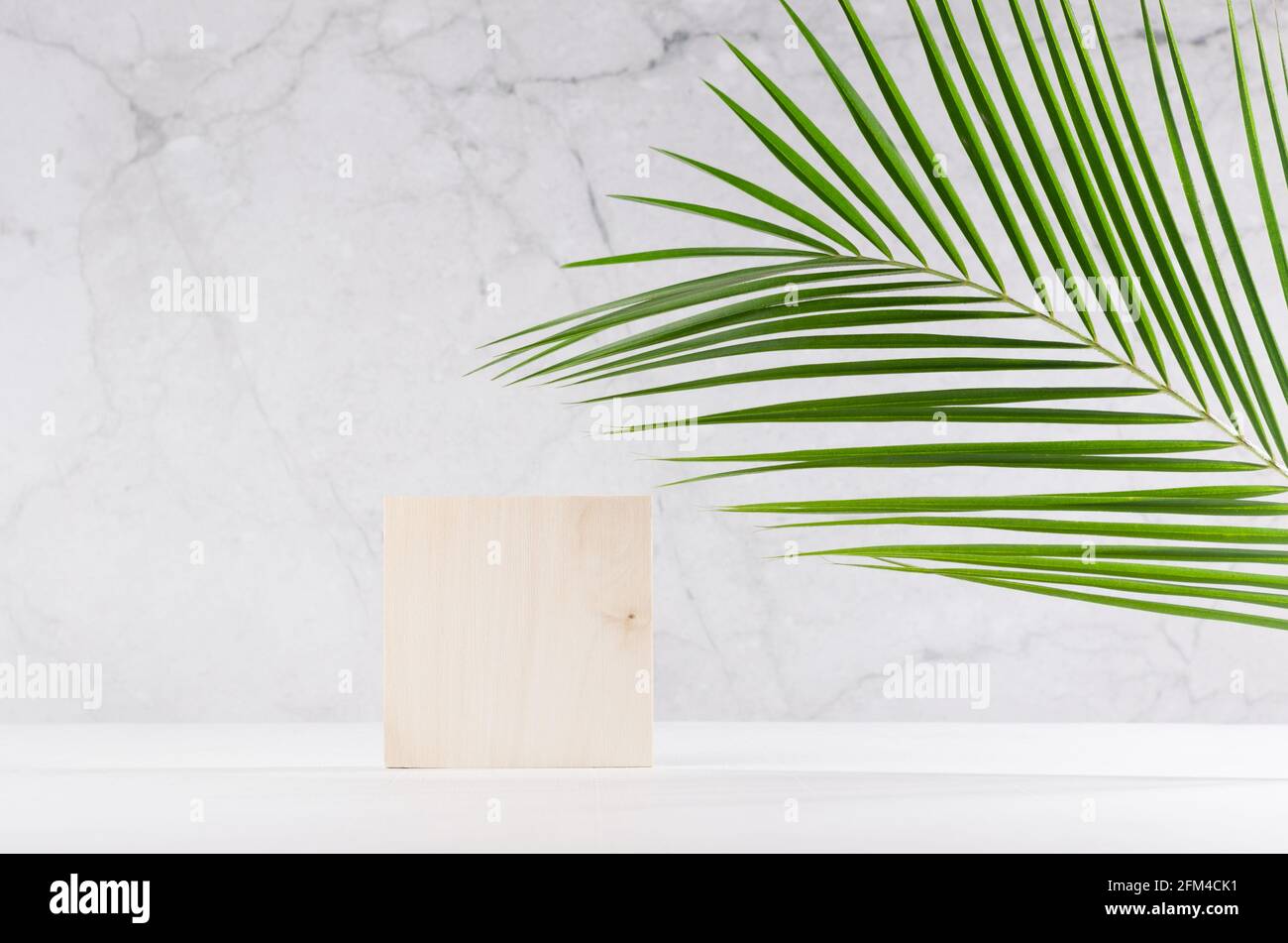 Quadratisches Holzpodium mit grünem Palmenblatt, Schatten im eleganten weißen Interieur mit grauer Marmorwand im Sonnenlicht für die Präsentation von Kosmetikprodukten. Stockfoto