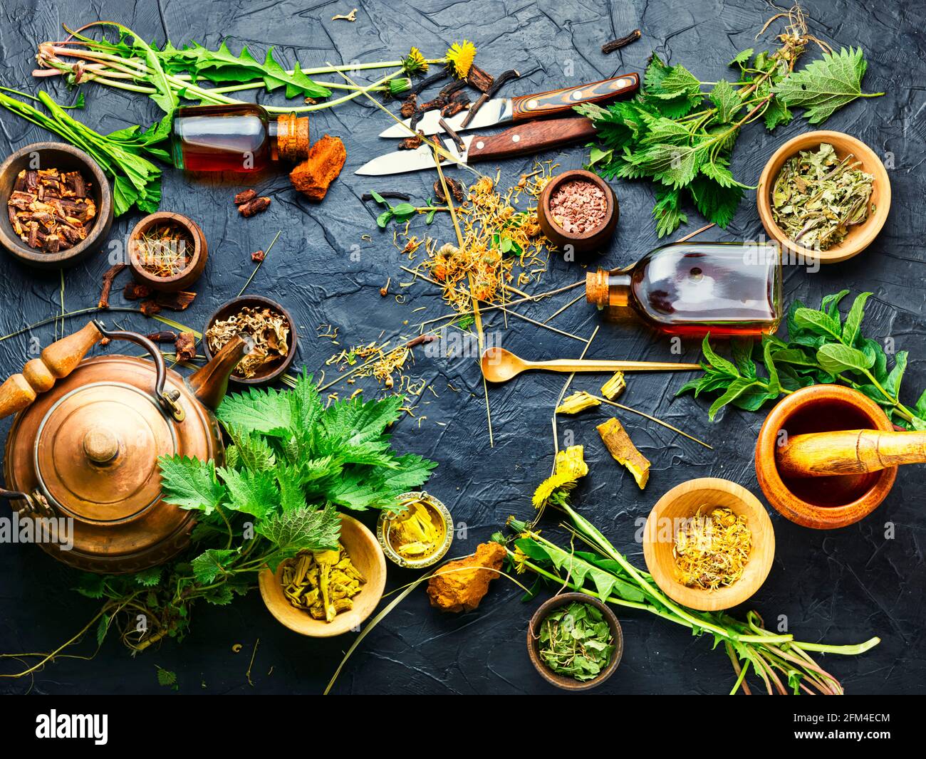 Set aus frischen und trockenen Heilkräutern und Heilpflanzen Stockfoto