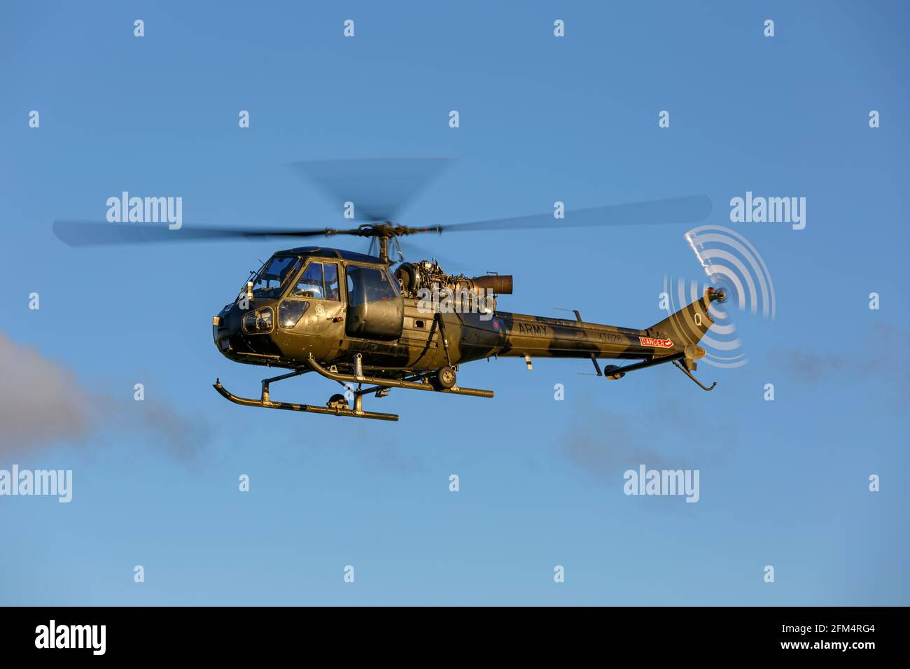 Westland Scout Hubschrauber der britischen Armee Stockfoto