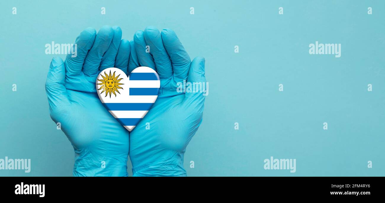Ärzte Hände tragen chirurgische Handschuhe halten Uruguay Flagge Herz Stockfoto