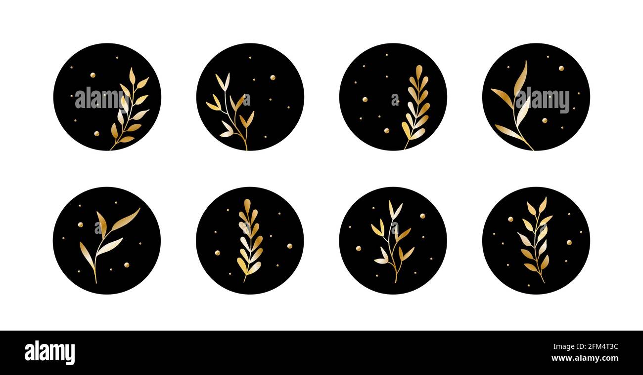 Vektor-Highlight-Story-Cover-Symbole für soziale Medien. Abstrakte schwarze Kreis Hintergründe mit goldenen Blättern für instagram Stock Vektor