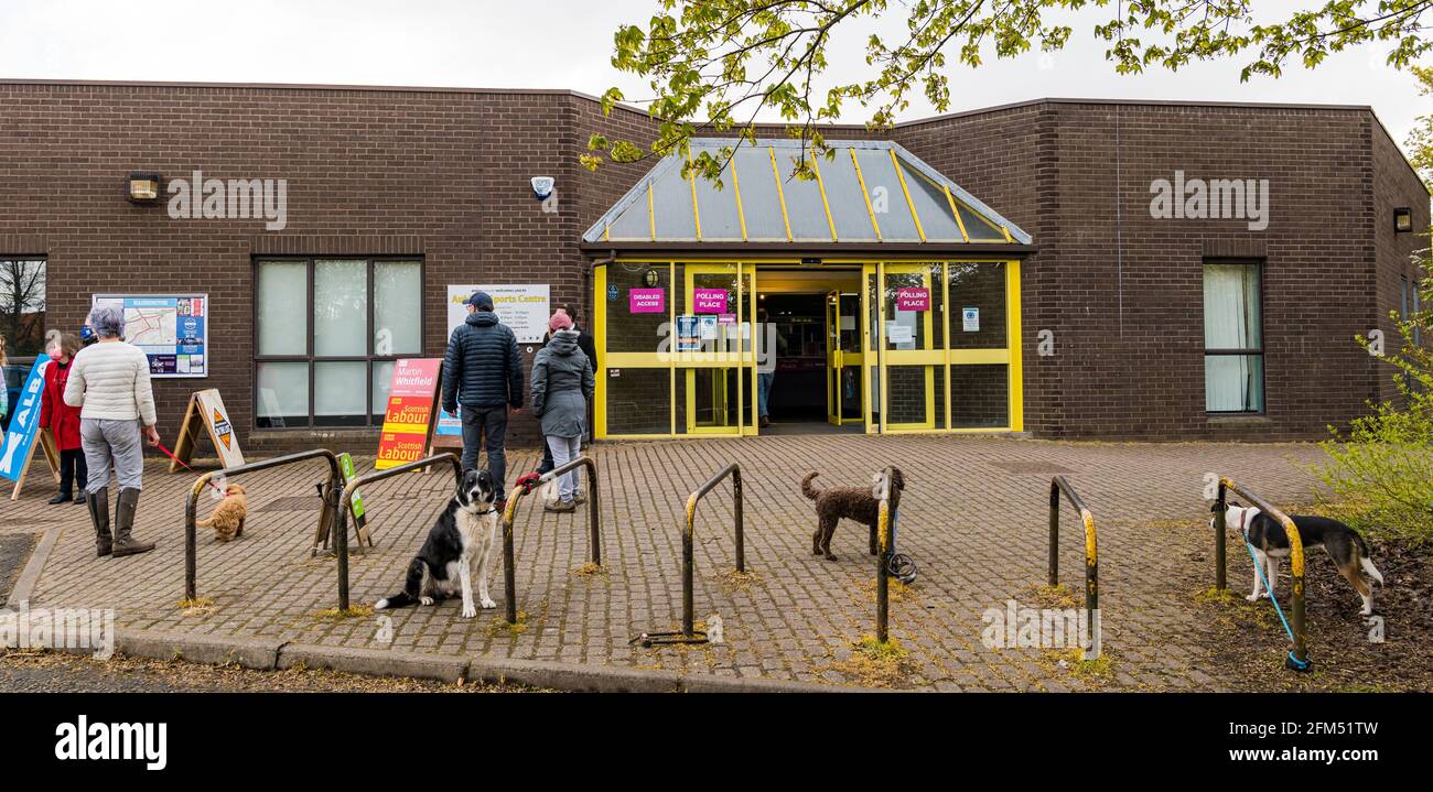 East Lothian, Schottland, Großbritannien, 6. Mai 2021. Schottische Wahlen: Eine der Wahllokale des Landkreises, wenn das schottische Volk an die Wahlen geht. Im Bild: Hunde, die vor dem Aubigny-Sportzentrum in Haddington auf ihre Besitzer warten, gefesselt Stockfoto