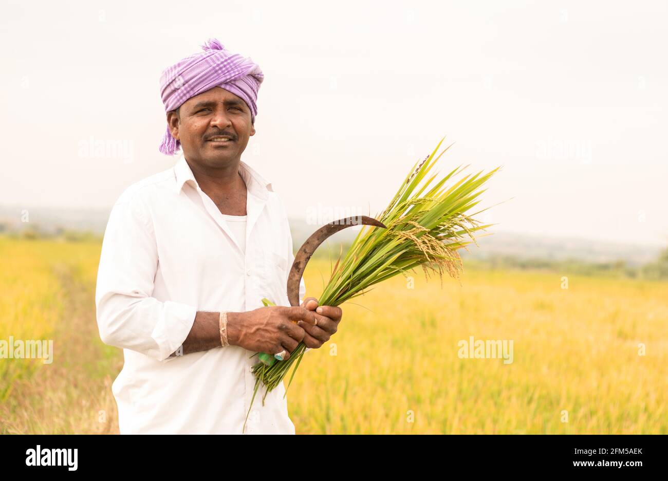 Happy Indian Farmer Halten Sichel und Paddy Ernte in der Hand - Konzept gute Ernteerträge aufgrund Monsunregen. Stockfoto